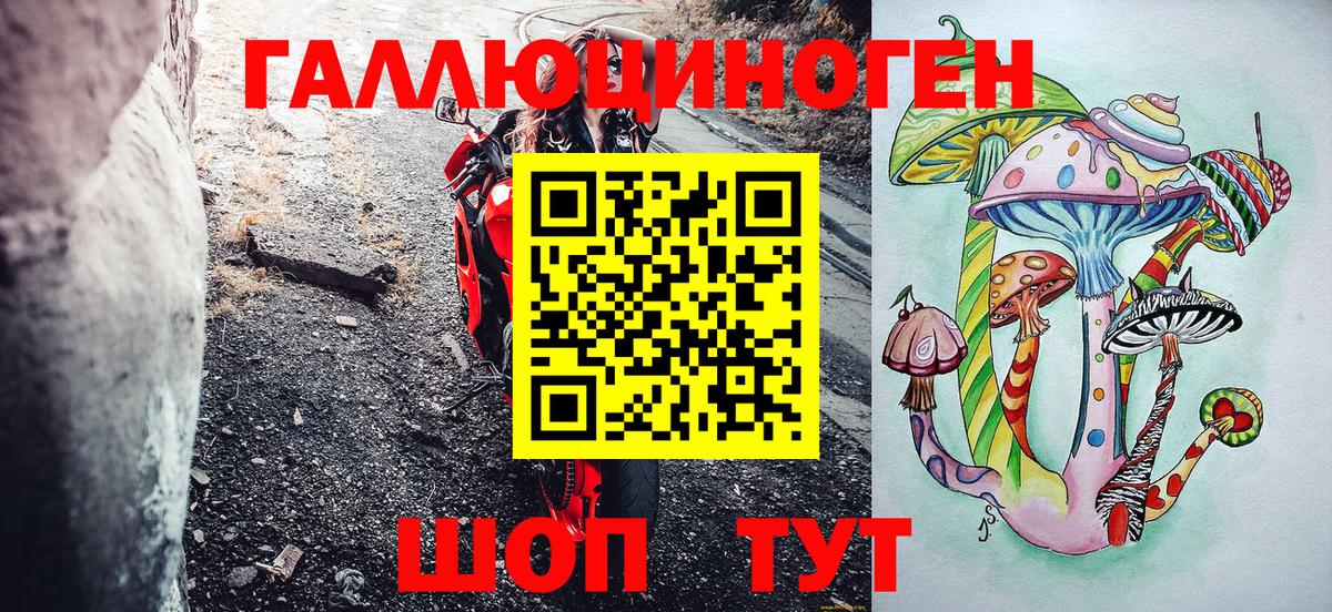 Галлюциногенные грибы Cubensis  Вход с VPN  Тара 